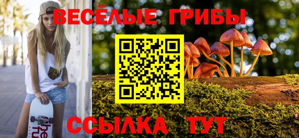 Псилоцибиновые грибы GOLDEN TEACHER Отрадный