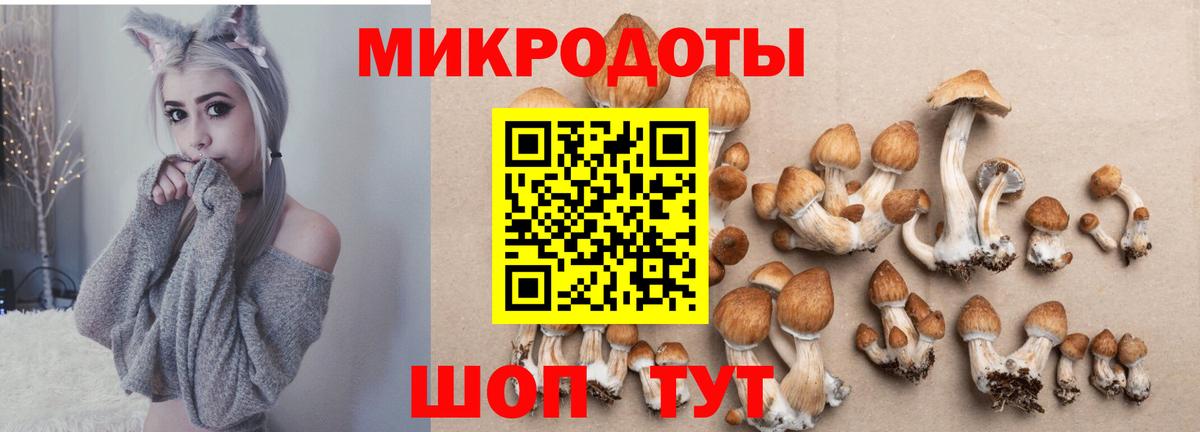 Галлюциногенные грибы прущие грибы  Псилоцибиновые грибы мицелий  Отрадный  Вход с VPN 