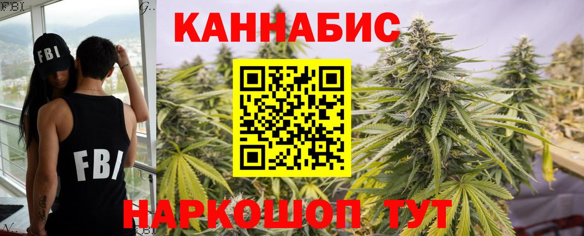 Конопля план  Вход с VPN  Канабис OG Kush  Марихуана конопля  Отрадный 